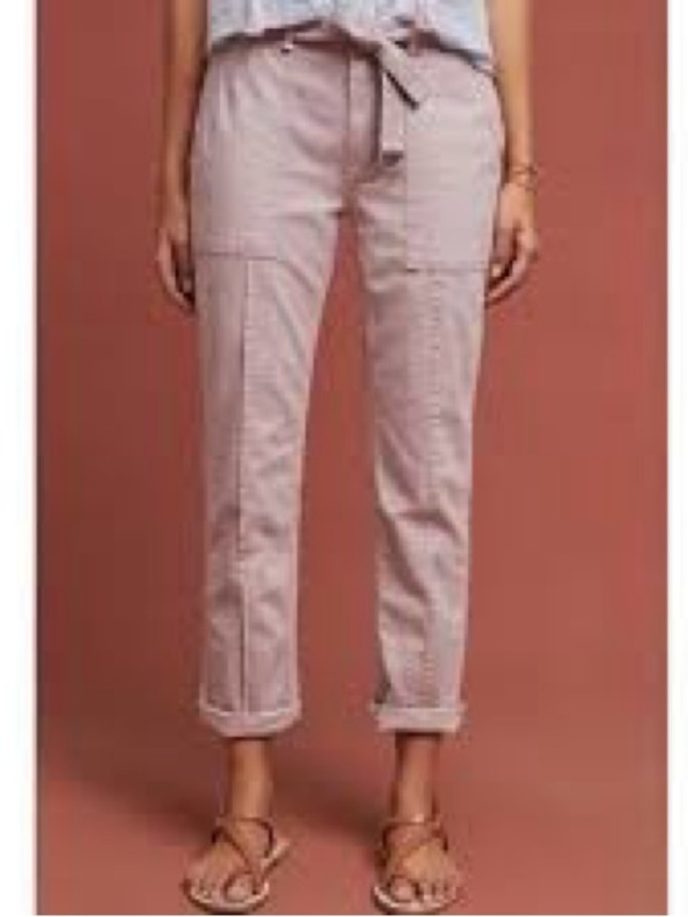Anthropologie Wanderer Belted Linen Blend Pants Size 28
